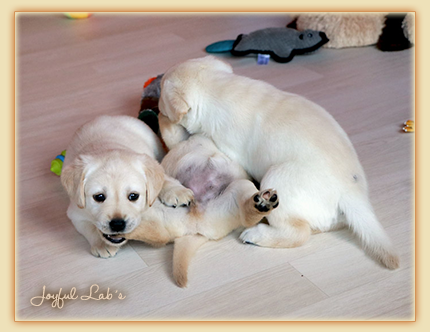 Unsere E-chen sind geboren :-) Unsere E-chen sind geboren :-)