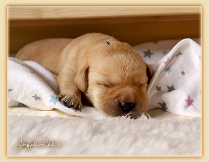 Unsere E-chen sind geboren :-) Unsere E-chen sind geboren :-)