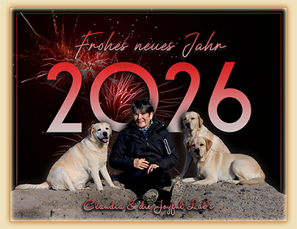 Frohes Neues Jahr 2026!