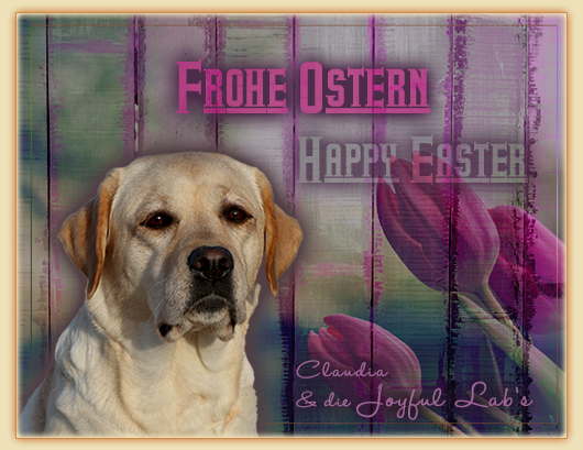 Wir wnschen euch frohe Ostern :-)