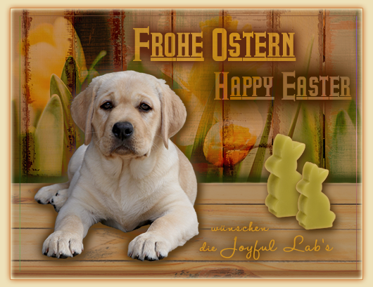 Wir wnschen Euch frohe Ostern :-)