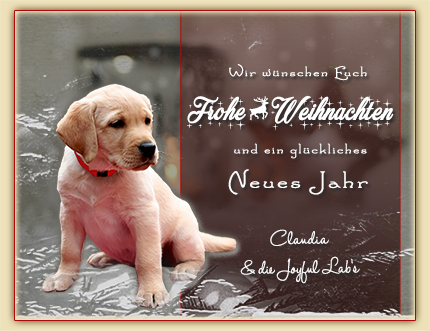 Frohe Weihnachten!